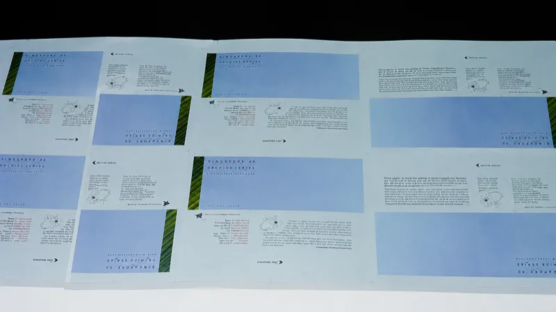 2. The printed sheets after they're been checked for detail and colour.