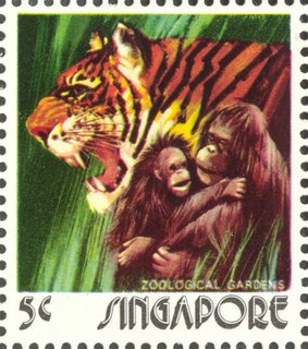 Animal Series