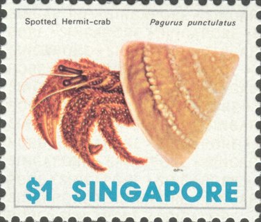 Marine Life Definitves