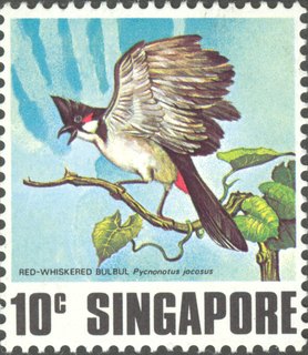 Singing Birds