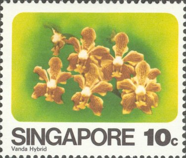 Orchids of Singapore