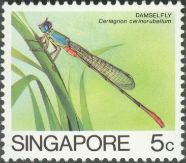 Insects Low Value Definitives