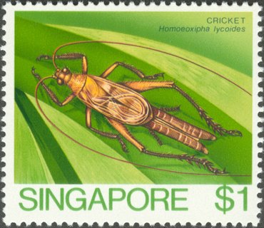 Insects High Value Definitives