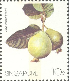 Local Fruits