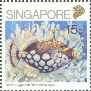 Fish Series