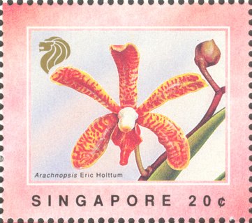 Orchids