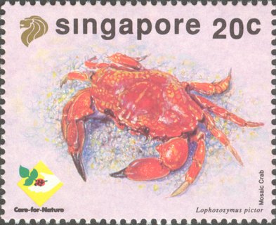 Marine Life Series - Crabs