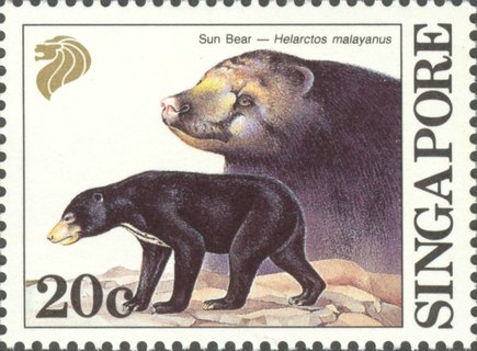Animal Series - Southeast Asian Mammals