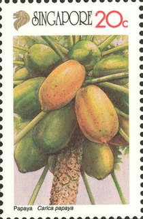 Nature Series - Local Fruits