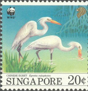 Bird Series - Migratory Birds (Chinese Egrets)