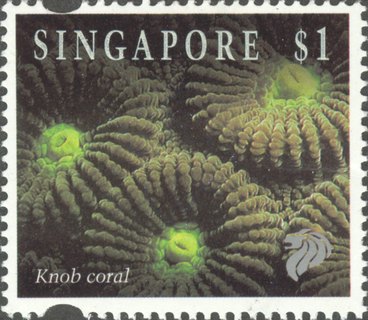 Corals and Reef Life Definitives High Values