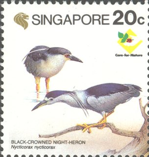 Bird Series - Herons