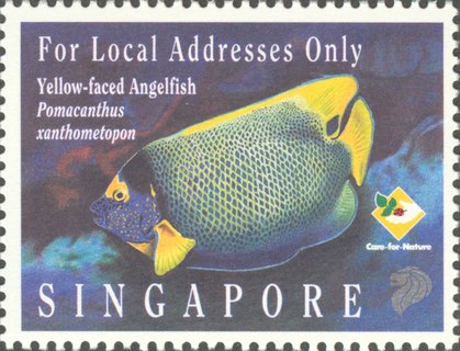 Marine Fish