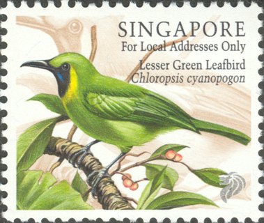Song Birds
