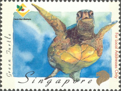 Nature Series - Amphibians and Reptiles