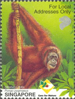 Orang Utan - Ah Meng, Singapore's "Lady" of the Forest