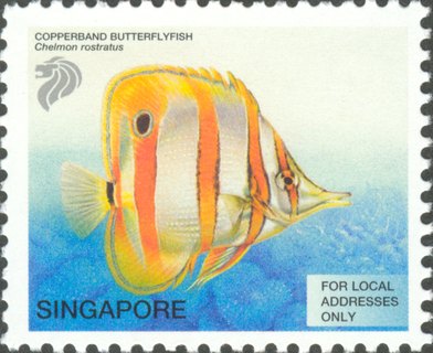 Tropical Marine Fishes
