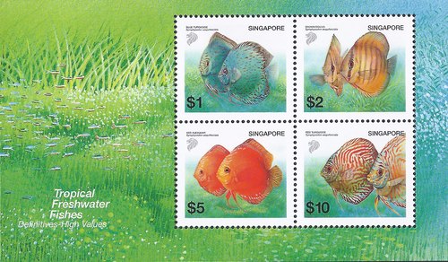 Tropical Freshwater Fishes Definitives - High Values