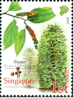 Cash Crops of Early Singapore