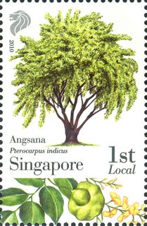 Know 10 Trees