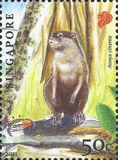 Endangered Animal - Oriental Small-Clawed Otter