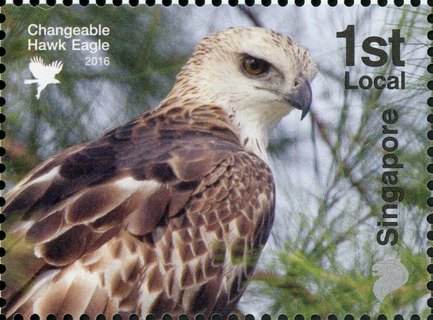 Birds of Prey