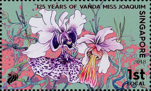 125 Years of Vanda Miss Joaquim