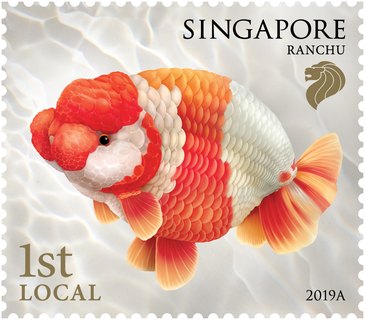 Goldfishes Definitives