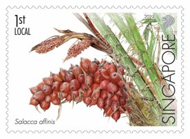 Critically Endangered Flora of Singapore – Flora of Singapore's Freshwater Swamp Forests