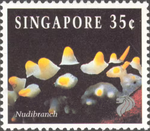 Corals and Reef Life Definitive NVI Stamp Stamps Collection