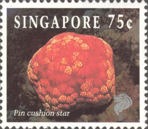 Corals and Reef Life Definitive NVI Stamp Stamps Collection