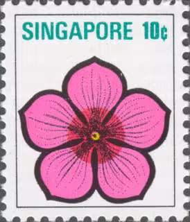 Flowers Definitives