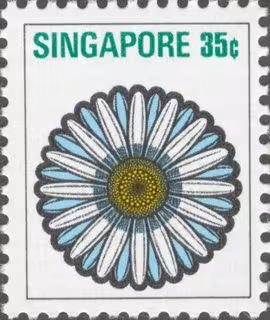 Flowers Definitives