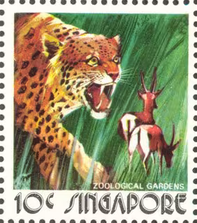 Animal Series