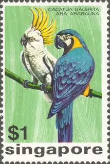 Birds