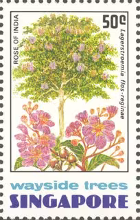 Wayside Trees of Singapore