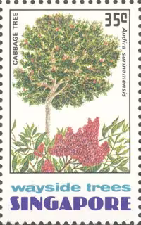 Wayside Trees of Singapore