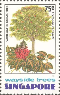 Wayside Trees of Singapore