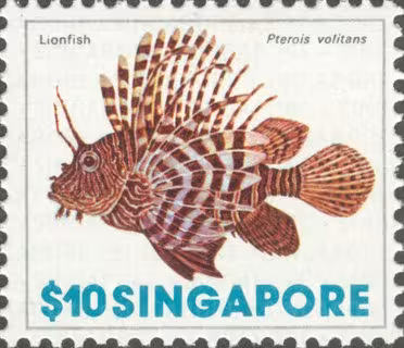 Marine Life Definitves