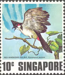 Singing Birds