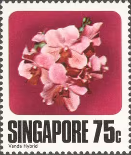 Orchids of Singapore