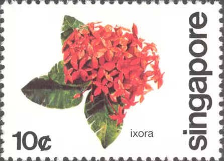 Flowers of Singapore