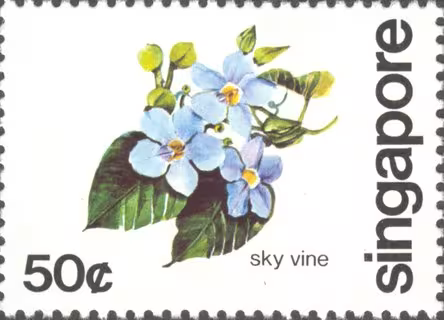 Flowers of Singapore