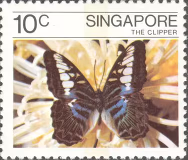 Butterflies
