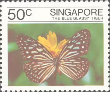 Butterflies