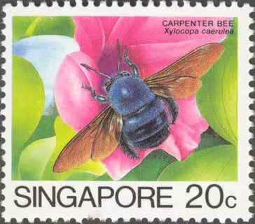 Insects Low Value Definitives
