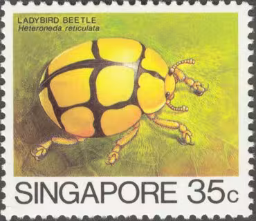 Insects Low Value Definitives