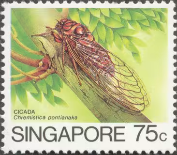 Insects Low Value Definitives