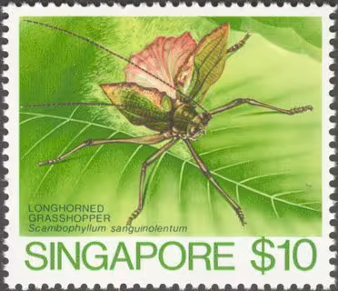 Insects High Value Definitives