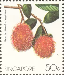 Local Fruits